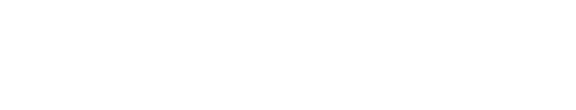 إستبرق سانز